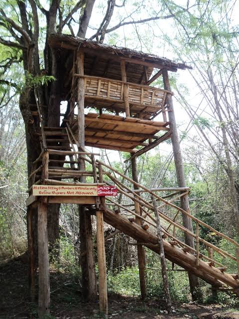 Nisargadhama Tree House